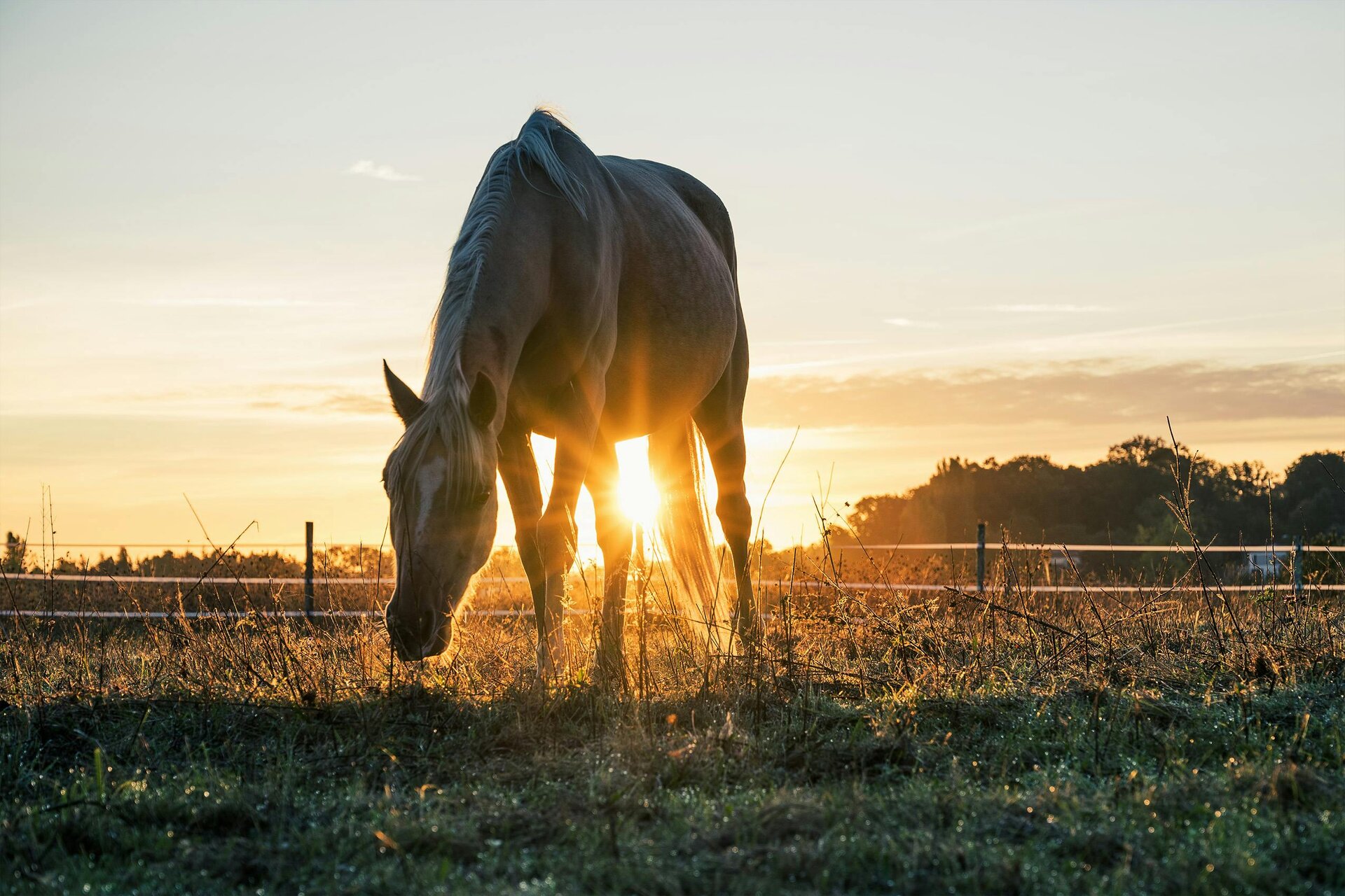 Chez Brioche Boulangerie